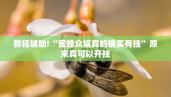 教程辅助!“蜜蜂众娱真的确实有挂”原来真可以开挂