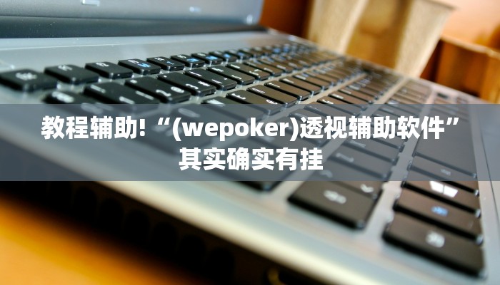 教程辅助!“(wepoker)透视辅助软件”其实确实有挂