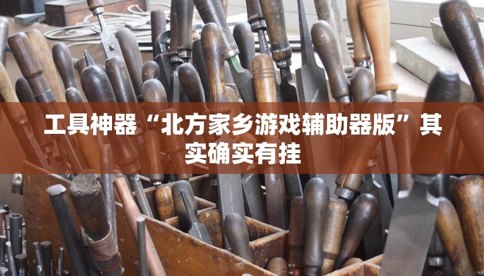 工具神器“北方家乡游戏辅助器版”其实确实有挂