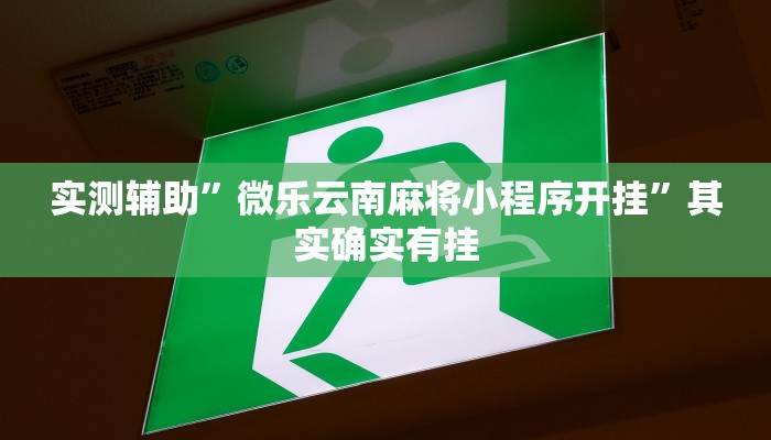 教程辅助!“梦幻互娱开挂神器”原来真可以开挂