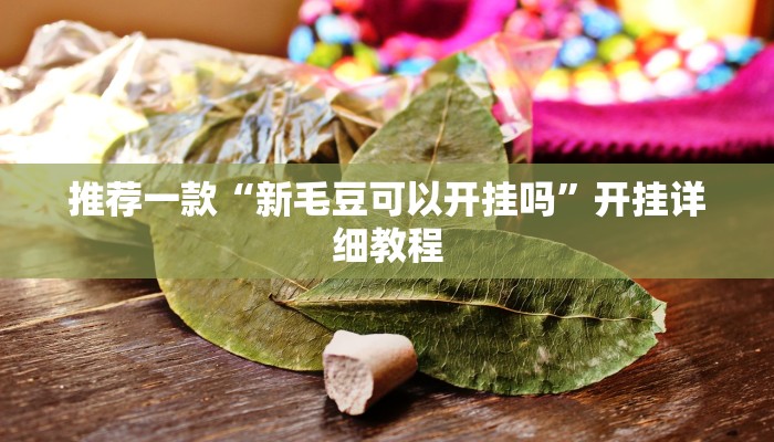 推荐一款“新毛豆可以开挂吗”开挂详细教程