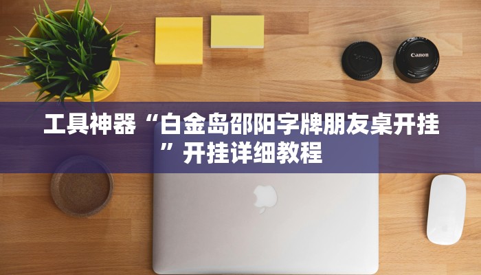 工具神器“白金岛邵阳字牌朋友桌开挂”开挂详细教程