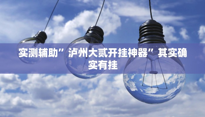 实测教程”博乐填大坑辅助软件下载”(原来确实是有挂)