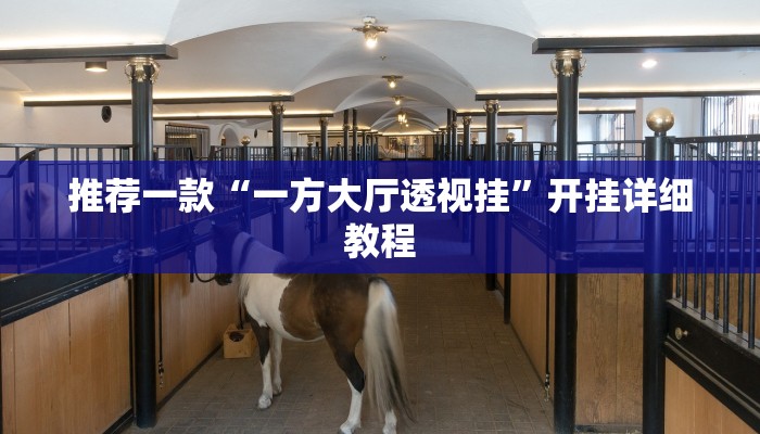 推荐一款“一方大厅透视挂”开挂详细教程