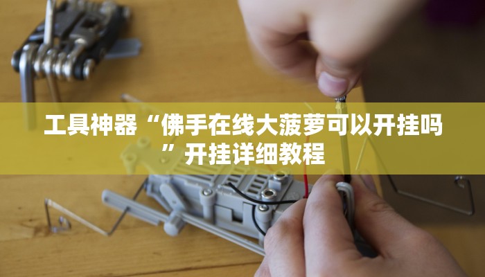 工具神器“佛手在线大菠萝可以开挂吗”开挂详细教程