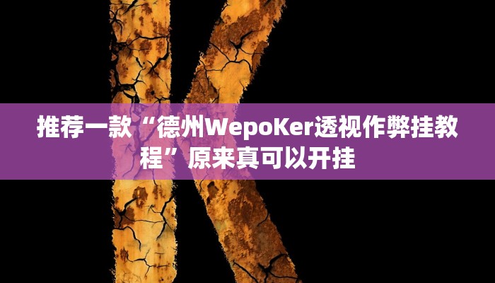推荐一款“德州WepoKer透视作弊挂教程”原来真可以开挂