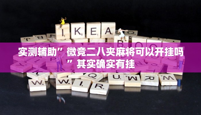 实测辅助”微竞二八夹麻将可以开挂吗”其实确实有挂