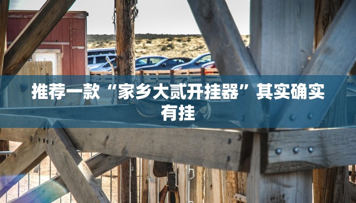 推荐一款“家乡大贰开挂器”其实确实有挂