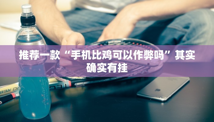 推荐一款“手机比鸡可以作弊吗”其实确实有挂