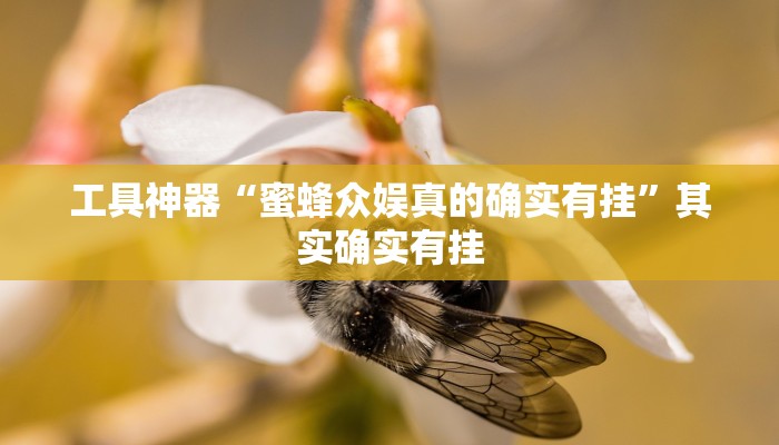 工具神器“蜜蜂众娱真的确实有挂”其实确实有挂