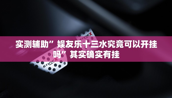 实测辅助”娱友乐十三水究竟可以开挂吗”其实确实有挂
