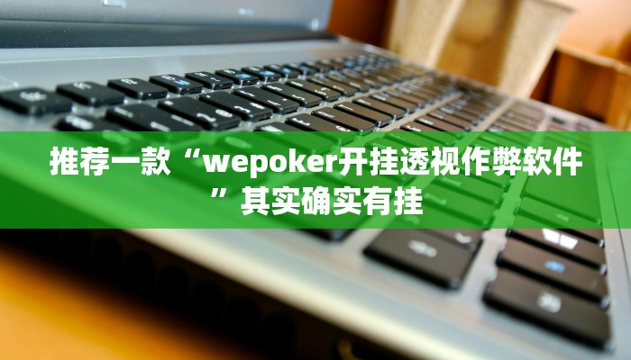 推荐一款“wepoker开挂透视作弊软件”其实确实有挂