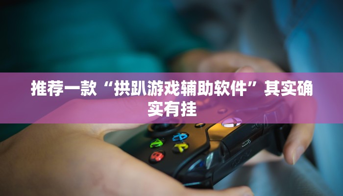 推荐一款“拱趴游戏辅助软件”其实确实有挂