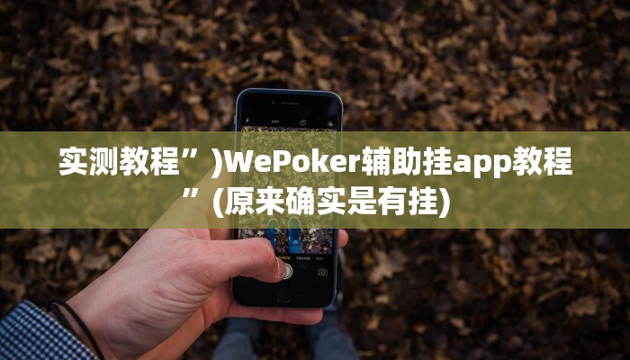 实测教程”)WePoker辅助挂app教程”(原来确实是有挂)
