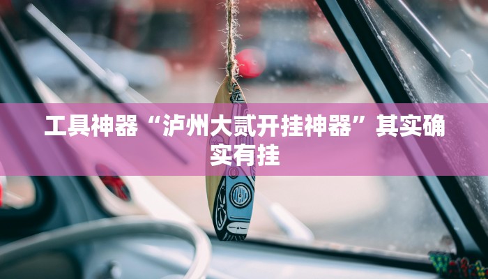 工具神器“泸州大贰开挂神器”其实确实有挂