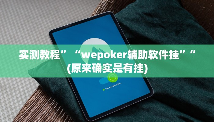 实测教程”“wepoker辅助软件挂””(原来确实是有挂)