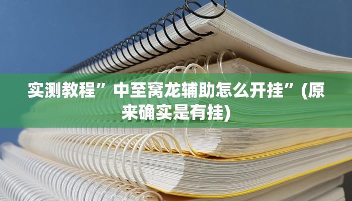 实测教程”中至窝龙辅助怎么开挂”(原来确实是有挂)