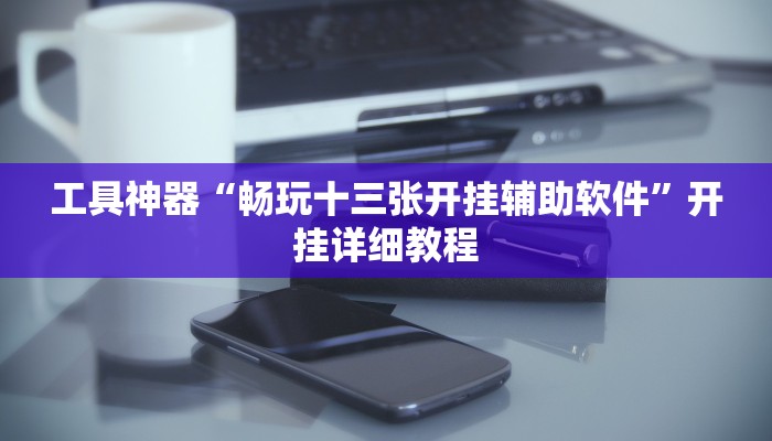 工具神器“畅玩十三张开挂辅助软件”开挂详细教程
