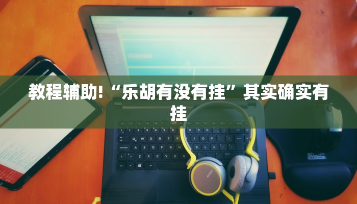 教程辅助!“乐胡有没有挂”其实确实有挂