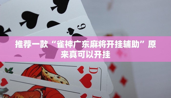 推荐一款“雀神广东麻将开挂辅助”原来真可以开挂