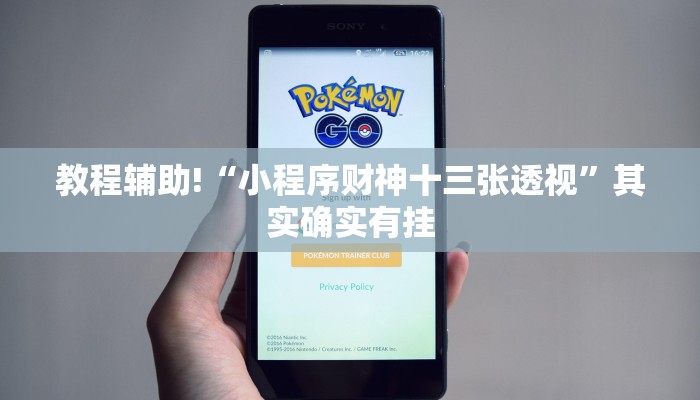 教程辅助!“小程序财神十三张透视”其实确实有挂