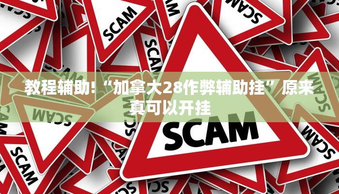 教程辅助!“加拿大28作弊辅助挂”原来真可以开挂