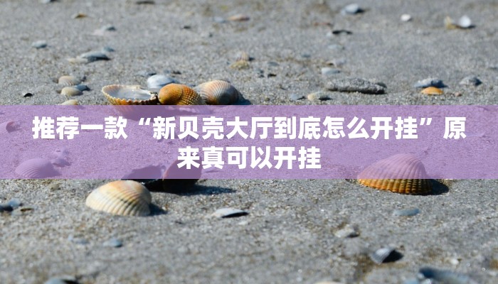 推荐一款“新贝壳大厅到底怎么开挂”原来真可以开挂