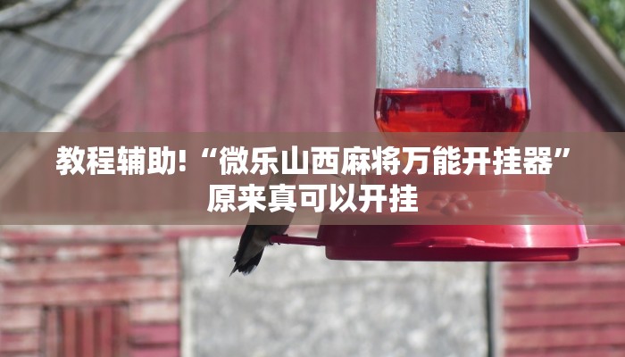 教程辅助!“微乐山西麻将万能开挂器”原来真可以开挂