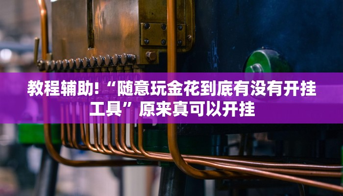 教程辅助!“随意玩金花到底有没有开挂工具”原来真可以开挂
