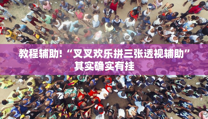 教程辅助!“叉叉欢乐拼三张透视辅助”其实确实有挂