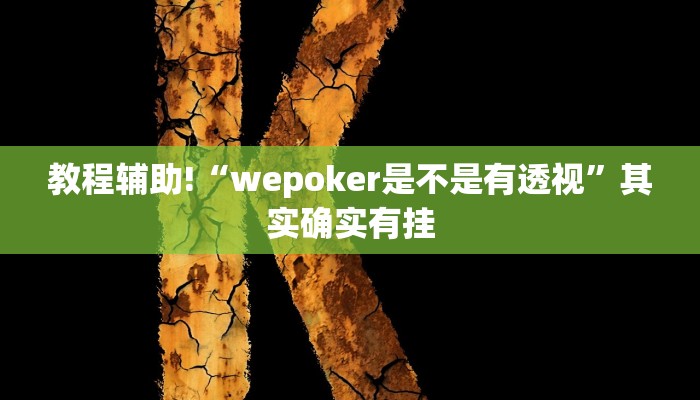 教程辅助!“wepoker是不是有透视”其实确实有挂