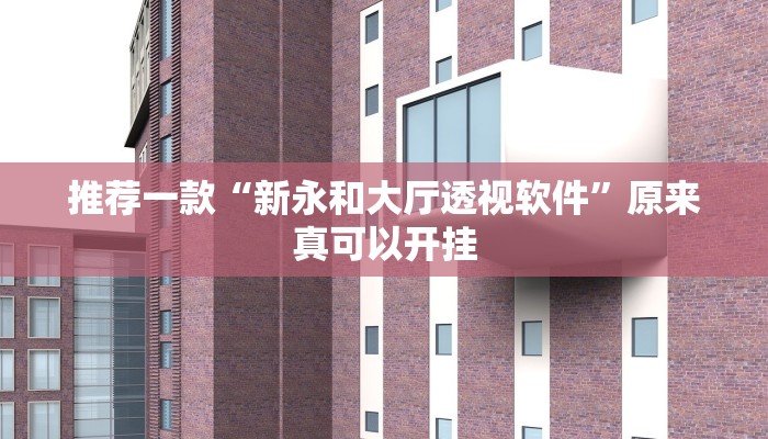 推荐一款“新永和大厅透视软件”原来真可以开挂
