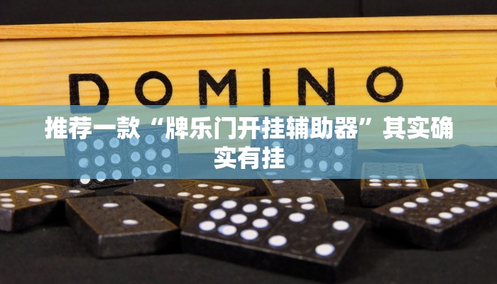 推荐一款“牌乐门开挂辅助器”其实确实有挂