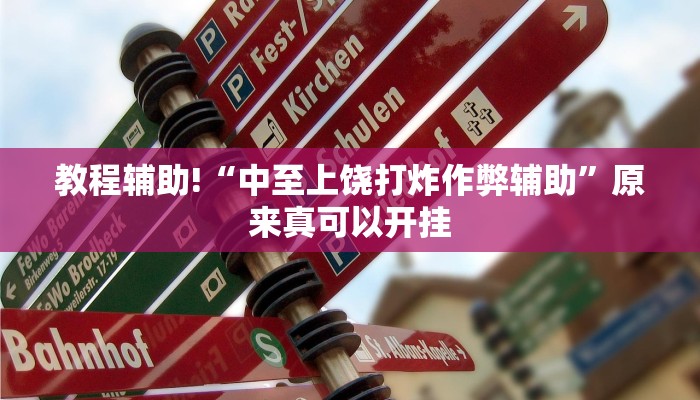 教程辅助!“中至上饶打炸作弊辅助”原来真可以开挂