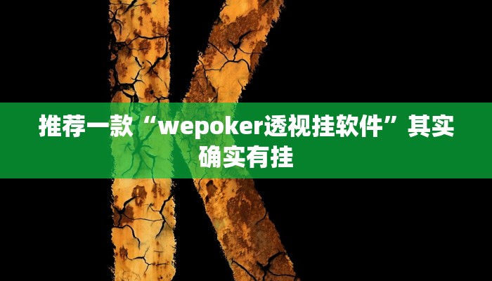 推荐一款“wepoker透视挂软件”其实确实有挂