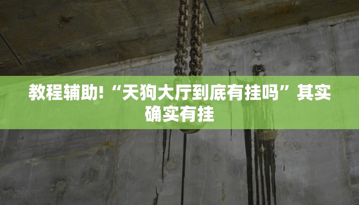 教程辅助!“天狗大厅到底有挂吗”其实确实有挂