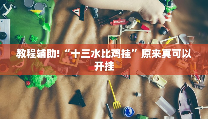 教程辅助!“十三水比鸡挂”原来真可以开挂