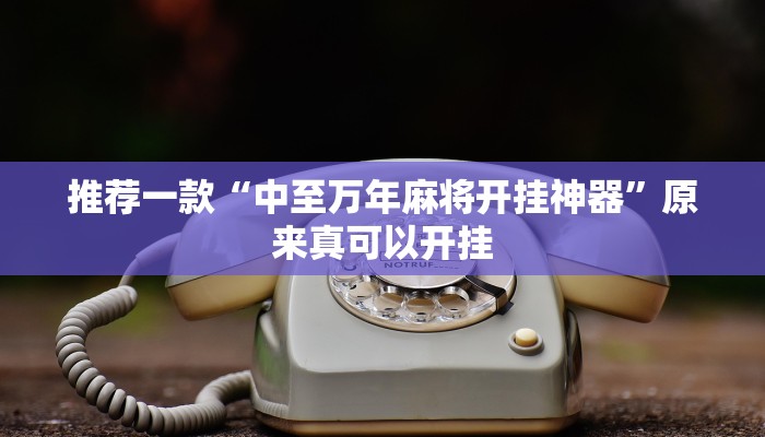 推荐一款“中至万年麻将开挂神器”原来真可以开挂