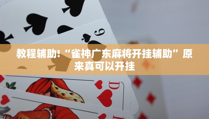 教程辅助!“雀神广东麻将开挂辅助”原来真可以开挂