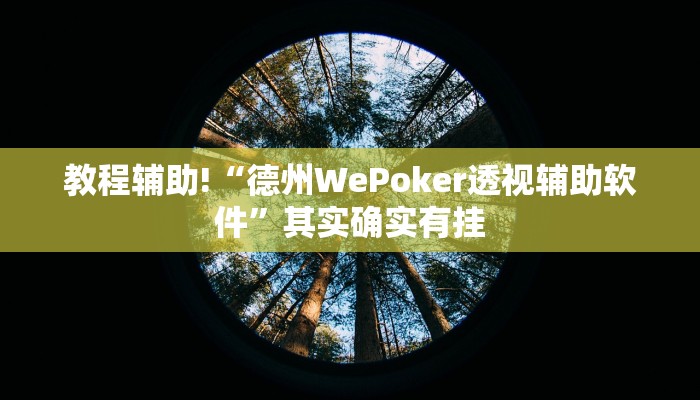 教程辅助!“德州WePoker透视辅助软件”其实确实有挂