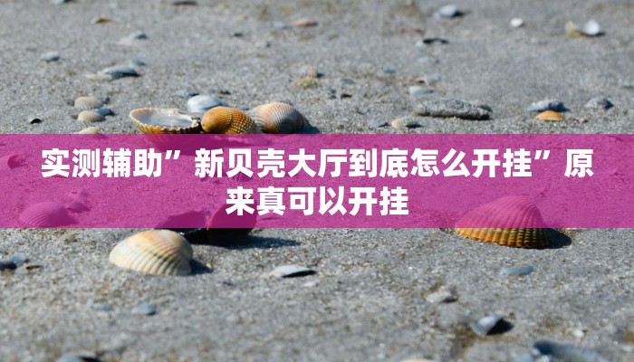 实测辅助”新贝壳大厅到底怎么开挂”原来真可以开挂