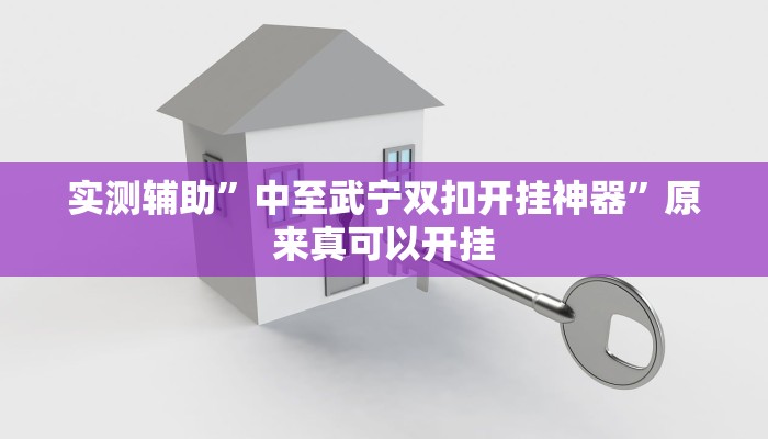 实测辅助”中至武宁双扣开挂神器”原来真可以开挂