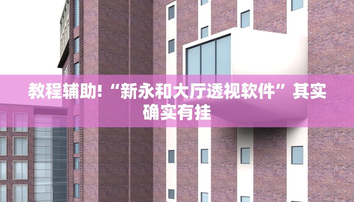教程辅助!“新永和大厅透视软件”其实确实有挂