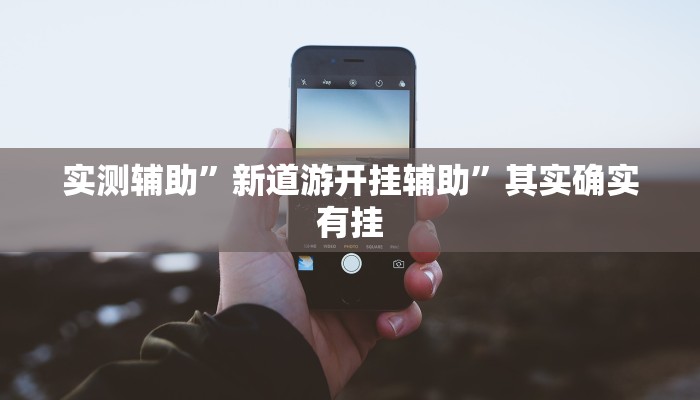 实测辅助”新道游开挂辅助”其实确实有挂