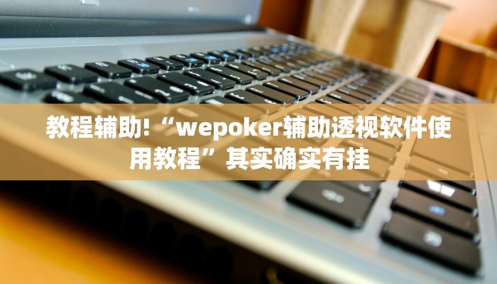 教程辅助!“wepoker辅助透视软件使用教程”其实确实有挂
