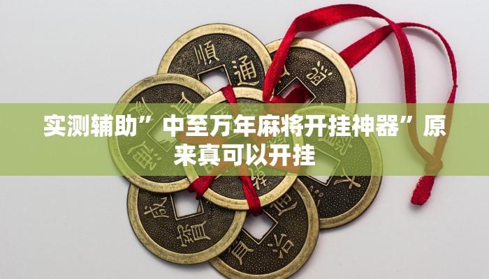 实测辅助”中至万年麻将开挂神器”原来真可以开挂