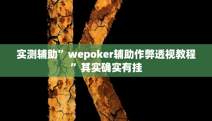 实测辅助”wepoker辅助作弊透视教程”其实确实有挂