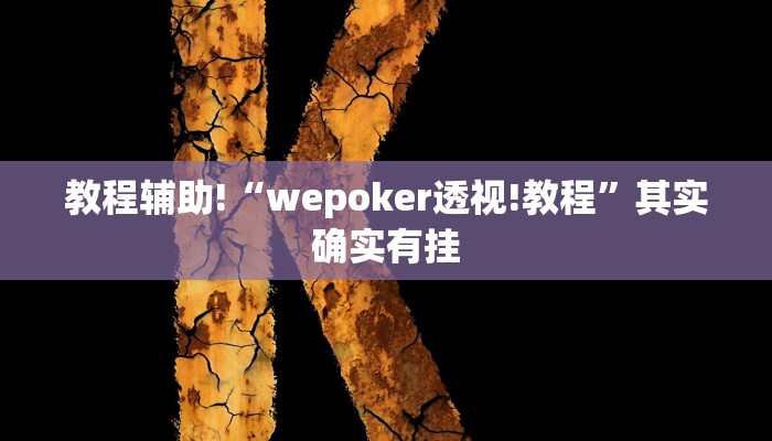 教程辅助!“wepoker透视!教程”其实确实有挂