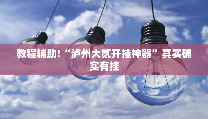 教程辅助!“泸州大贰开挂神器”其实确实有挂