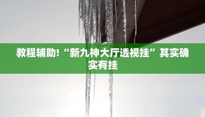 教程辅助!“新九神大厅透视挂”其实确实有挂